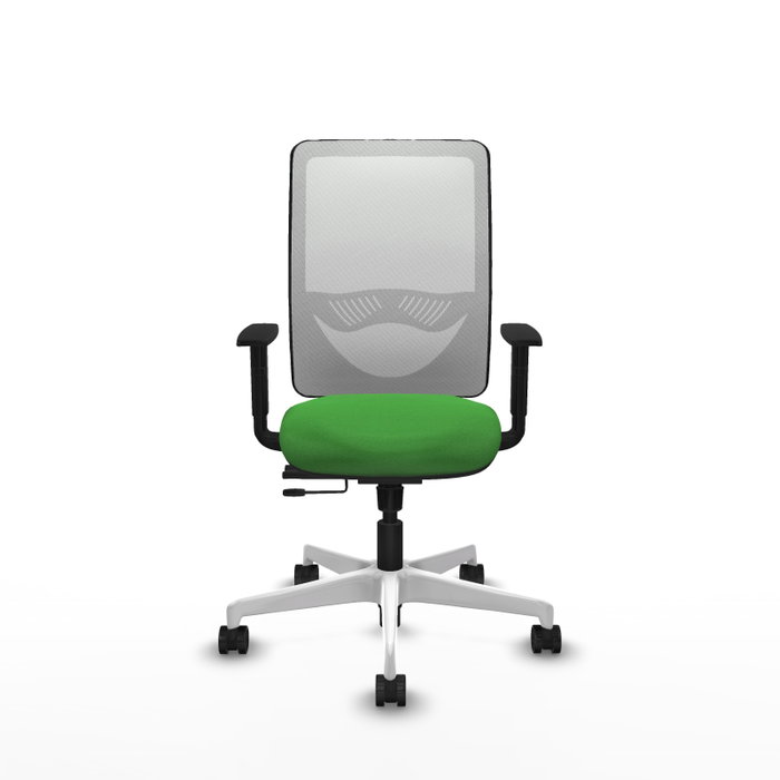 PIQUERAS Y CRESPO Silla de oficina Zulema Verde y Blanco PIQUERAS Y CRESPO Silla de oficina Zulema Verde y Blanco