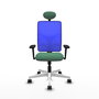 PIQUERAS Y CRESPO Silla de oficina Motilla con mecanismo Sincro, Verde esmeralda y Azul