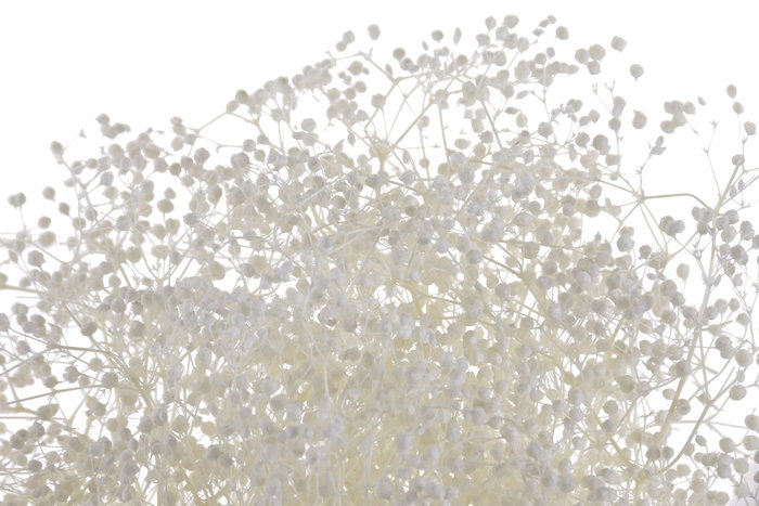 DKD Home Decor Ramo de Flores Preservadas Gysophila Mini Blanco 50gr DKD Home Decor Ramo de Flores Preservadas Gysophila Mini Blanco 50gr