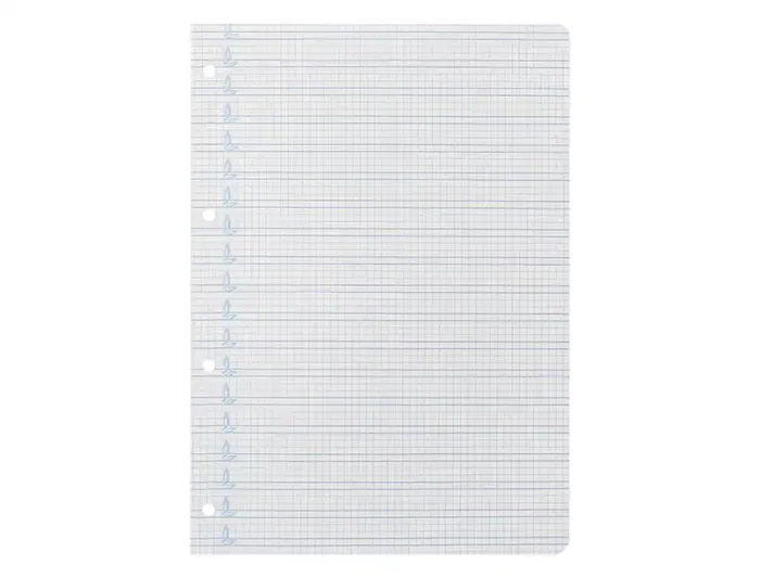 Liderpapel Recambio A4 Pautado Guía 100 Hojas 75gr Cuadriculado Pautado 4mm Con Margen 4 Taladros