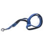 Ferplast Correa Daytona GA20 200 Azul