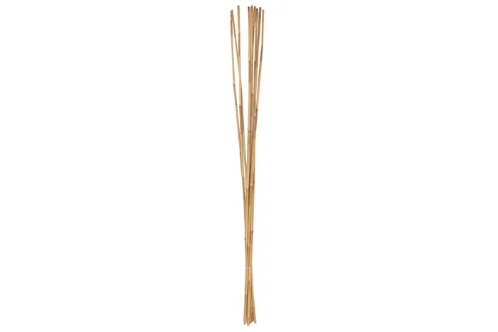 DKD Home Decor Set de 10 Ramas de Bambú Natural 7x7x150 cm DKD Home Decor Set de 10 Ramas de Bambú Natural 7x7x150 cm
