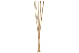 DKD Home Decor Set de 10 Ramas de Bambú Natural 7x7x150 cm