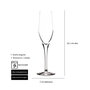 Elba Copa Cava Cristal, Modelo Summa, 18 cl / 221 mm de Alto, Borde Fino, Diámetro 67.5 mm, Cristalería (Set de 6)