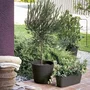 Deroma DER0191942096173 Jardinera - 18 L - Gris
