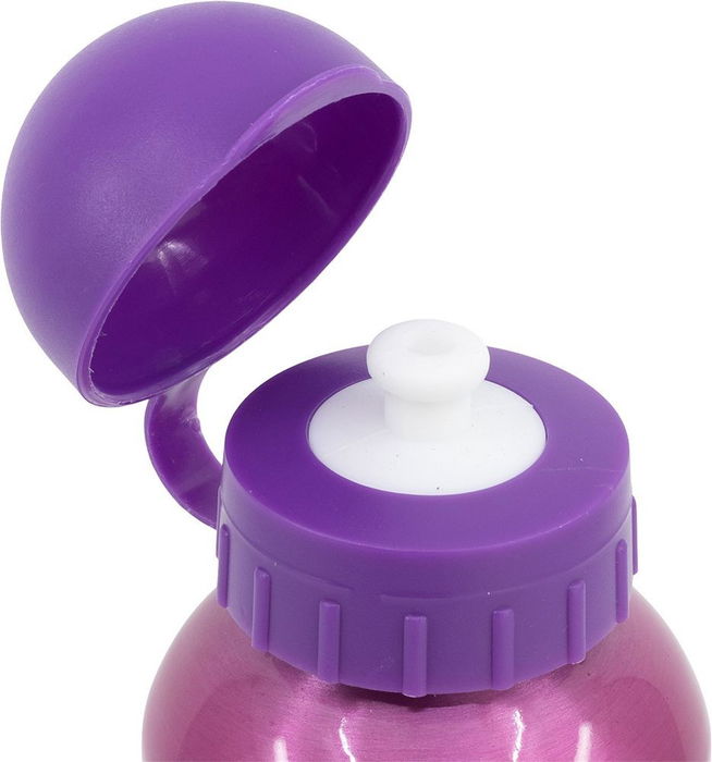 Botella de Agua Disney Princess CZ11260 530 ml Rosa Aluminio