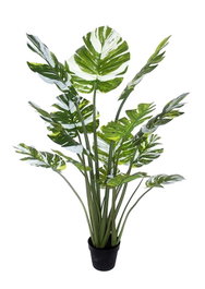 DKD Home Decor Planta Monstera Verde con Base de Cemento 80x80x180 cm