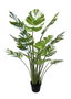 DKD Home Decor Planta Monstera Verde con Base de Cemento 80x80x180 cm