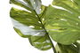 DKD Home Decor Planta Monstera para Terraza y Jardín Verde Blanco 80 x 180 x 80 cm (2 Unidades)