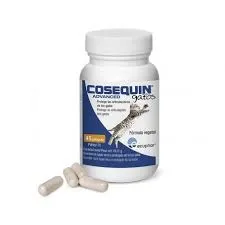 Ecuphar Cosequin Advanced Gato 45 Cápsulas