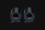 Razer Nommo V2 X Altavoces 2.0 Rango Completo Negro