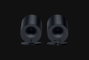 Razer Nommo V2 X Altavoces de Rango Completo 2.0 Negro
