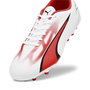 Botas de Fútbol para Adultos Puma 107527 01