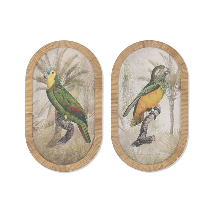 DKD Home Decor Cuadro Ratan Cristal 35X2,5X60 Loro Surtido de 2 Unidades