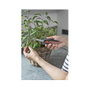 Gardena FreshCut Tijeras de podar con corte bypass