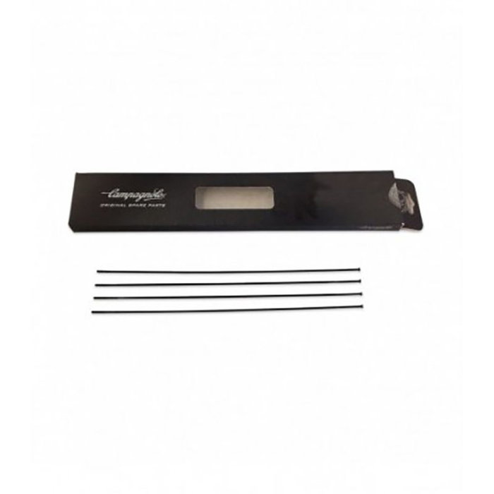 Campagnolo Radio Bora WTO 33 DB Disco Delantero Derecho Recto Plano - 4 Radios Campagnolo Radio Bora WTO 33 DB Disco Delantero Derecho Recto Plano - 4 Radios