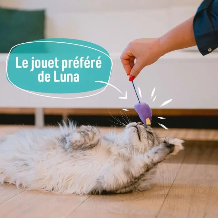 Aime AIME901557 7 Juguetes para Gatos Aime AIME901557 7 Juguetes para Gatos