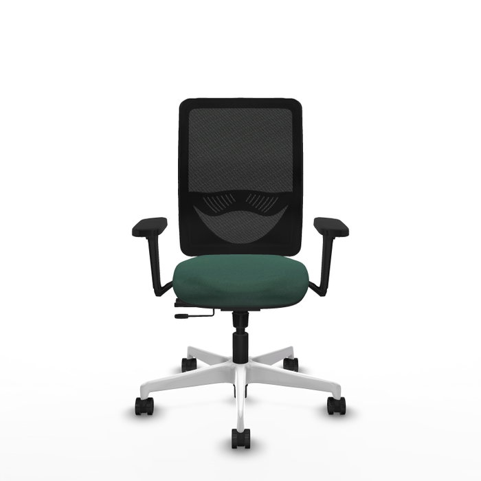 PIQUERAS Y CRESPO Silla de oficina Zulema con mecanismo Sincro/Traslack, Verde botella y Negro PIQUERAS Y CRESPO Silla de oficina Zulema con mecanismo Sincro/Traslack, Verde botella y Negro
