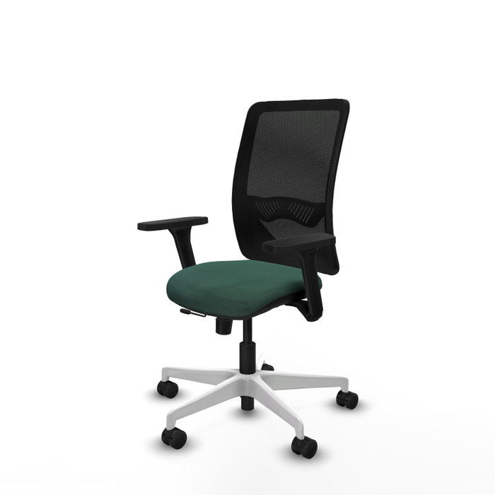 PIQUERAS Y CRESPO Silla de oficina Zulema con mecanismo Sincro/Traslack, Verde botella y Negro PIQUERAS Y CRESPO Silla de oficina Zulema con mecanismo Sincro/Traslack, Verde botella y Negro