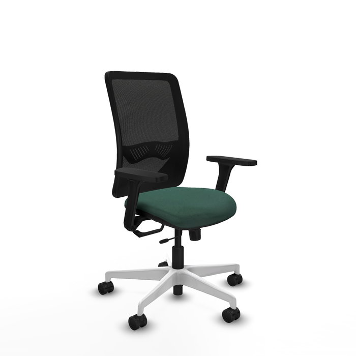 PIQUERAS Y CRESPO Silla de oficina Zulema con mecanismo Sincro/Traslack, Verde botella y Negro PIQUERAS Y CRESPO Silla de oficina Zulema con mecanismo Sincro/Traslack, Verde botella y Negro
