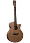 Guitarra Acústica Tanglewood Serie Winterleaf Exotic Black Walnut