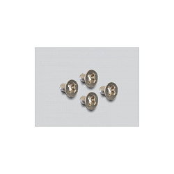 DeLOCK 89370 Tarjeta NVMe M.2 PCI Express Interna, Interfaz PCIe M.2, Compatible con Windows/Mac/Linux