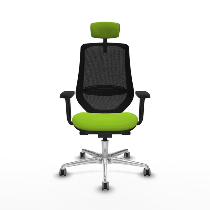 PIQUERAS Y CRESPO Silla de oficina Mardos con mecanismo Sincro/Traslack, Pistacho/Negro PIQUERAS Y CRESPO Silla de oficina Mardos con mecanismo Sincro/Traslack, Pistacho/Negro