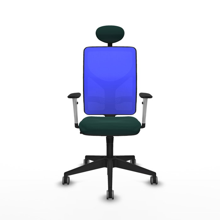 PIQUERAS Y CRESPO Silla de oficina Motilla con mecanismo Sincro, Verde botella y Azul PIQUERAS Y CRESPO Silla de oficina Motilla con mecanismo Sincro, Verde botella y Azul