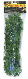 ZooMed Planta de Plástico Mexican Phyllo Grande