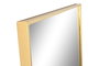 DKD Home Decor Espejo de Hierro y Cristal Dorado 70x3,5x200 cm