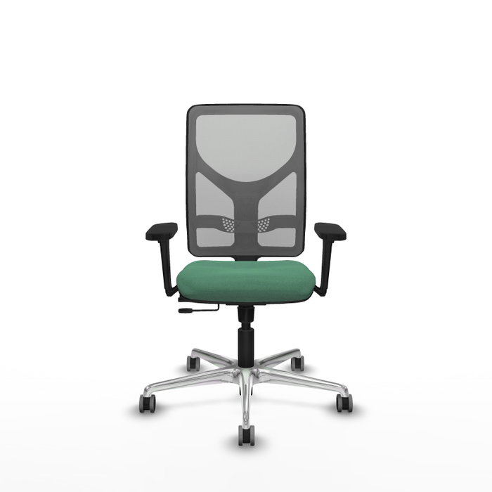 PIQUERAS Y CRESPO Silla de oficina Motilla con mecanismo Sincro/Traslack, Verde esmeralda y Gris PIQUERAS Y CRESPO Silla de oficina Motilla con mecanismo Sincro/Traslack, Verde esmeralda y Gris
