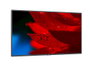 NEC MultiSync MA551 Pantalla de Señalización Digital 55 pulg 4K Ultra HD IPS Negro