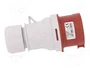 PAWBOL Enchufe Macho 16A Trifásico 5 Pines IEC 60309