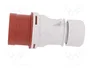 PAWBOL Enchufe Macho 16A Trifásico 5 Pines IEC 60309