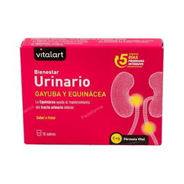 VITALART Bienestar Urinario 10 Sobres Sabor Fresa Complemento Alimenticio Plantas