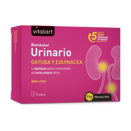 Vitalart Bienestar Urinario 10 sobres - Complemento alimenticio para el tracto urinario inferior