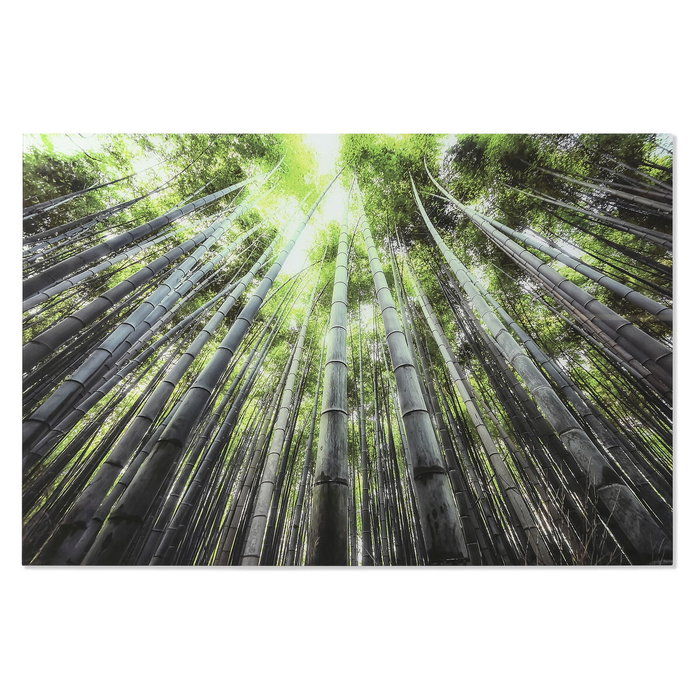 DKD Home Decor Cuadro de Cristal Templado Fotoimpreso Verde 150x100 cm