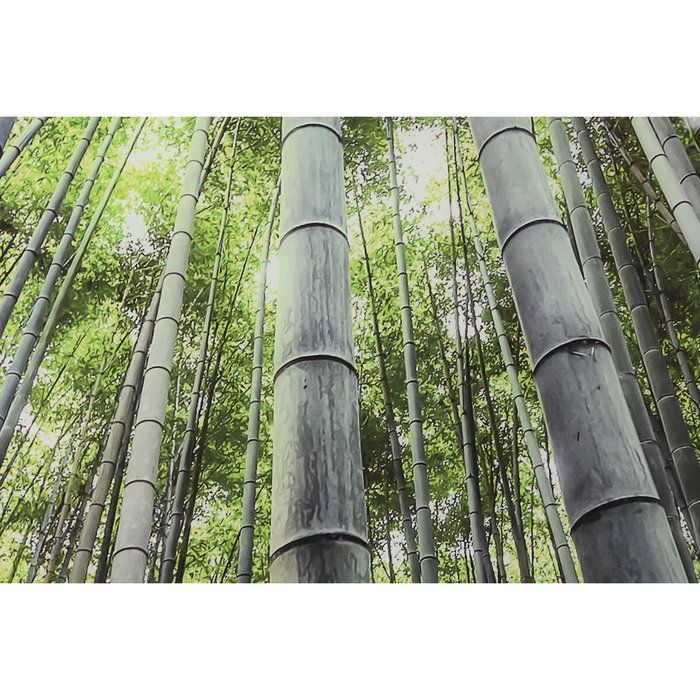 DKD Home Decor Cuadro de Cristal Templado Fotoimpreso Verde 150x100 cm