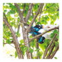 Makita DUC101Z Podadora de ramas inalámbrica 18V