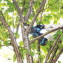 Makita DUC101Z Sierra de poda inalámbrica