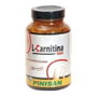 PINISAN L-CARNITINA 450 mg 100 cápsulas