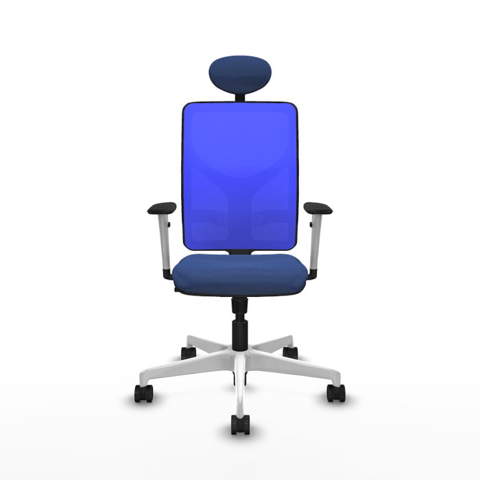 PIQUERAS Y CRESPO Silla de oficina Motilla con mecanismo Sincro, Azul PIQUERAS Y CRESPO Silla de oficina Motilla con mecanismo Sincro, Azul