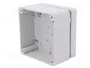 ELEKTRO-PLAST NASIELSK Carcasa Universal Industrial Gris