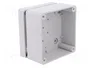 ELEKTRO-PLAST NASIELSK Carcasa Universal Industrial Gris
