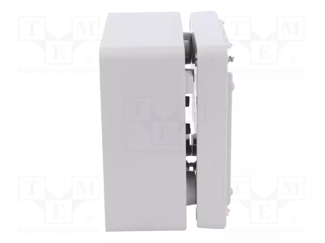 ELEKTRO-PLAST NASIELSK Carcasa Universal Industrial Gris