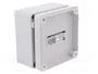 ELEKTRO-PLAST NASIELSK Carcasa Universal Industrial Gris