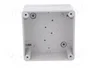 ELEKTRO-PLAST NASIELSK Carcasa Universal Industrial Gris