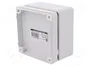 ELEKTRO-PLAST NASIELSK Carcasa Universal Industrial Gris