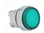 SCHNEIDER ELECTRIC Interruptor de presión verde 22mm