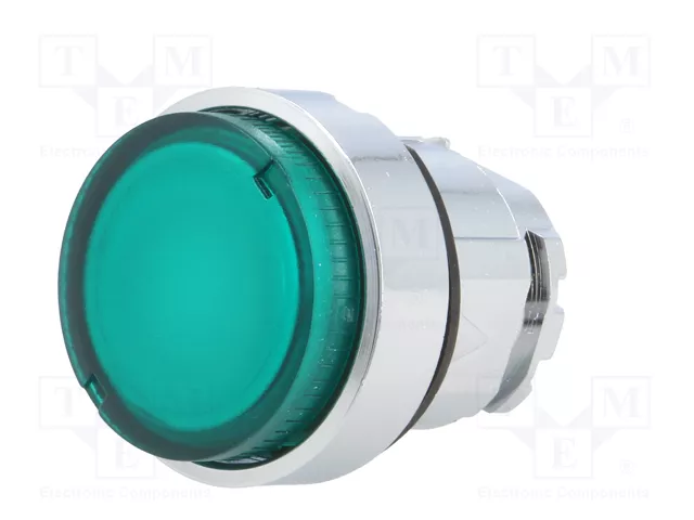 SCHNEIDER ELECTRIC Interruptor de presión verde 22mm